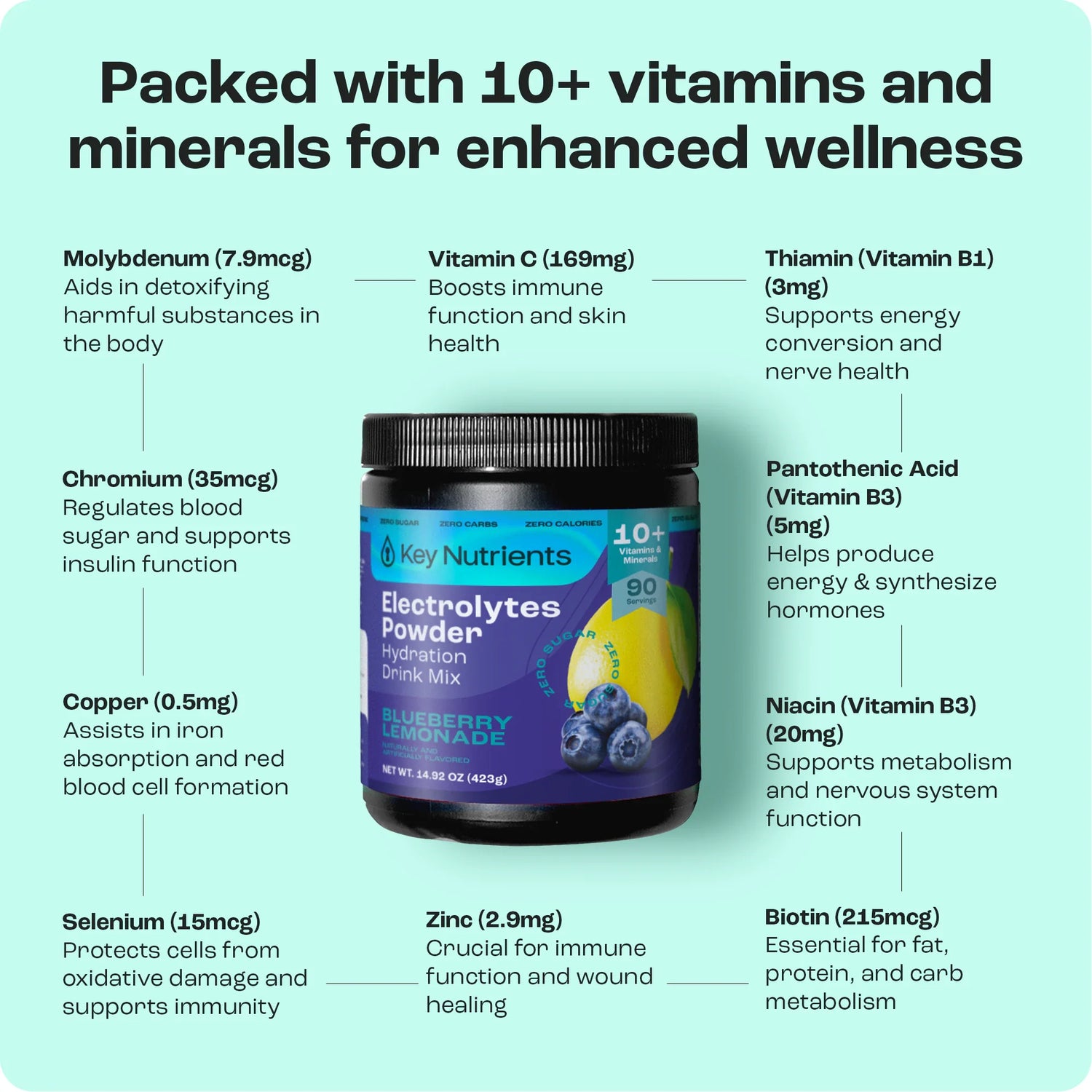 Electrolyte Recovery Plus Powder (Sugar-Free)